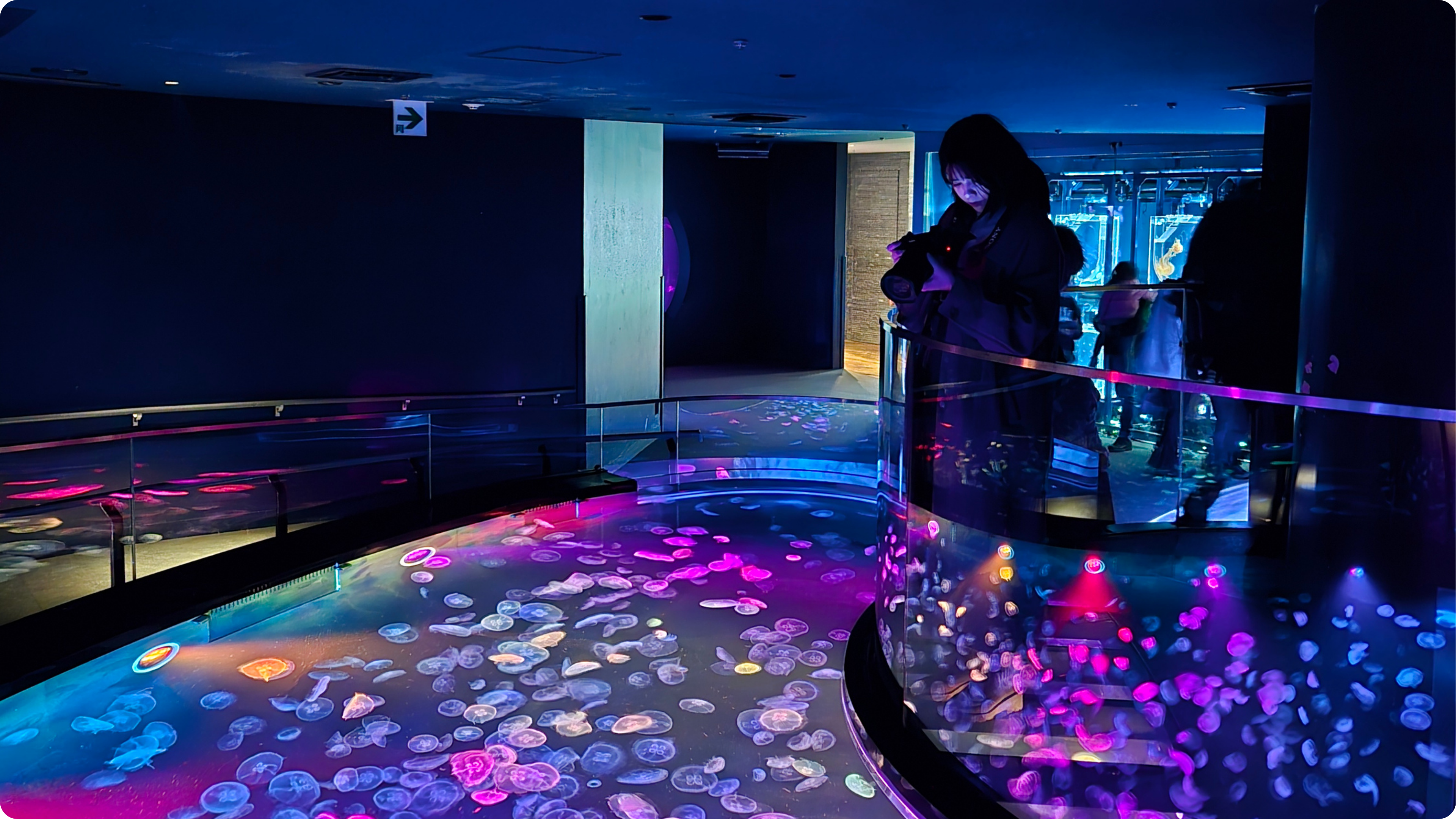 Jellyfish floor with LED lights